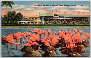 Vtg Miami Florida FL Flamingos at Hialeah Park 1940s Linen View Old Postcard