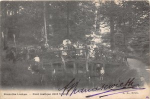 Lot 75 bruxelles laeken brussels laken rustic bridge in the park belgium