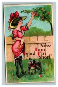 Vintage 1910's Comic Postcard - Cute Pug Dog Stares Up Woman's Dress - Funny