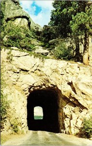 Mt Rushmore Through Tunnel Iron Mountain Rd Postcard VTG UNP Dexter Vintage 