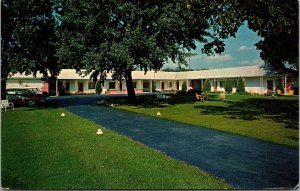 Vtg Williamstown Ohio OH Bon Air Motel 1960s Chrome View Postcard