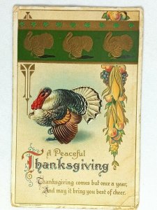 Vintage Postcard 1928 A Peaceful Thanksgiving Turkey Cheers Embossed