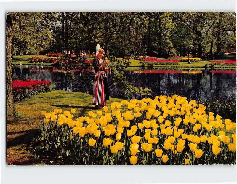 Postcard Holland in flowerdecoration, Keukenhof, Lisse, Netherlands