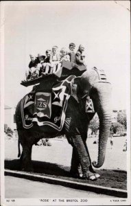Bristol Rosie Elelphant Children Atop Tuck Real Photo Vintage Postcard
