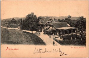 Switzerland Immensee Town View