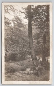 RPPC Stream Through Forest Real Photo Postcard A50