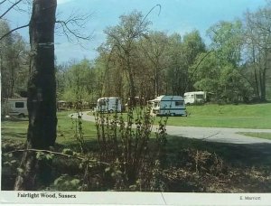 Vintage Postcard Fairlight Wood Caravan Park Camp Site Sussex