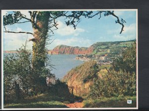 Devon Postcard - Sidmouth From Salcombe Hill, South Devon     T1337