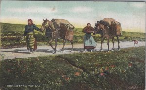 Rural Life Postcard - Working Women and Horses, Coming From The Bog DC639