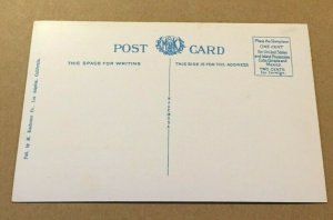 VINTAGE .01 POSTCARD UNUSED - FLOWER BEDS AT EXPOSITION PARK, LOS ANGELES, CAL.