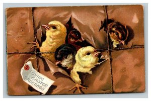 Vintage 1909 Tuck's Easter Postcard Cute Chicks Escape Brown Package Nice Card