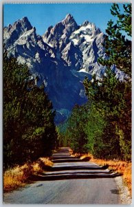 Vtg Wyoming WY Grand Teton Peak View Road to National Park Postcard