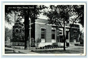 c1940s Trees View, US Post Office, Dwight Illinois IL Unposted Postcard