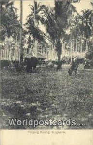 Tanjong Katong Singapore Postcard