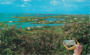 Bermuda Hamilton Harbour Vintage Postcard 07.33