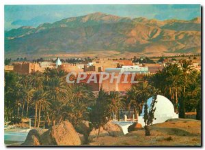 Modern Postcard Gafsa Tunisia Oasis
