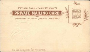 TUCK GEORGE WASHINGTON Soldier's Home c1900 PRIVATE MAILING CARD Postcard