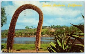 Postcard - Large cactus at the Andrew Clark Bird Refuge - Santa Barbara, CA