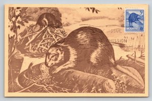 1954 Canada Beaver Maximum Card First Day Issue Ottawa Postmark Kurka Litho