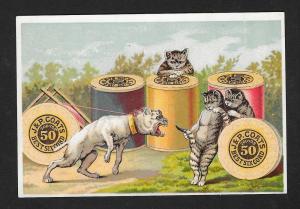 VICTORIAN TRADE CARD Coats' Thread 3 Cats teasing a Dog
