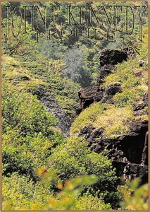 Johan F Kennedy Profile , Maui  