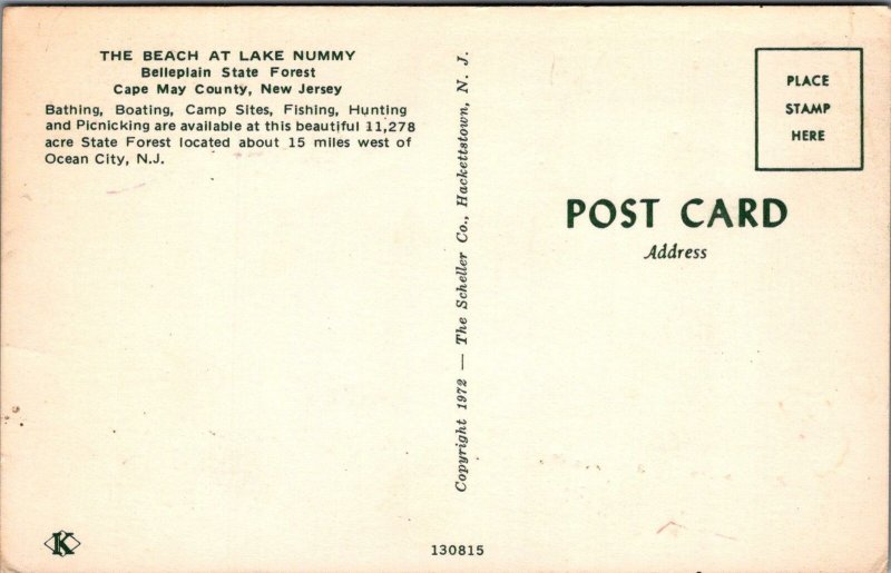 Postcard The Beach Lake Nummy Belleplain State Forest Cape May NJ