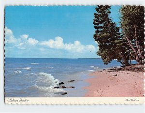 Postcard Beautiful Michigan Shoreline Michigan USA