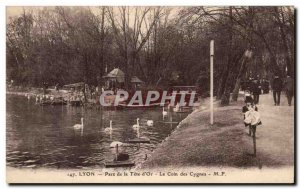 Old Postcard Lyon Park Tete d & # 39or Coln The Swan