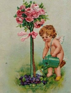 Valentine Postcard Cupid Gardening Plants Pink Roses Gabriel Series 408 Germany