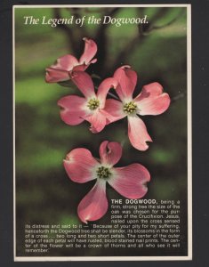 The Legend of the Dogwood Tree ~ Cont'l