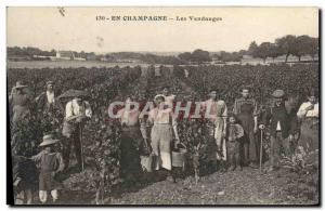 Old Postcard Folklore Harvest Vine Champagne TOP