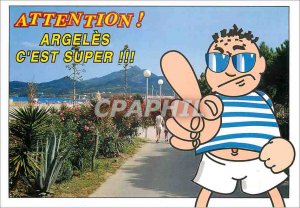 Modern Postcard Argeles Plage (Pyrenees Orientales) the Cote Vermeille