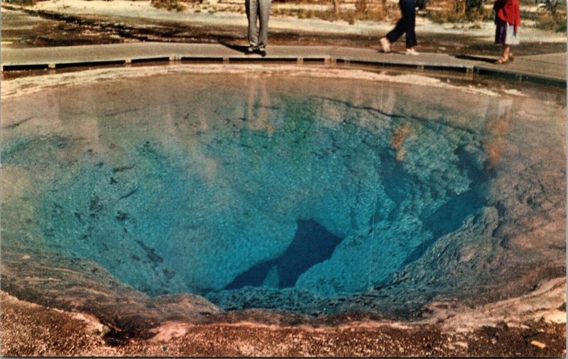 Morning Glory Pool Yellowstone National Park Wyoming Historic Chrome Postcard 