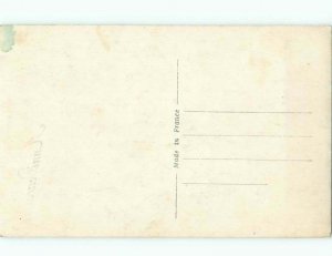 tinted rppc c1910 BEAUTIFUL FLOWERS AC9267