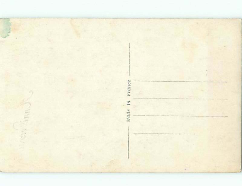 tinted rppc c1910 BEAUTIFUL FLOWERS AC9267