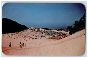 c1960 Warren Dunes State Park Panoramic View Bridgman Michigan Vintage Postcard