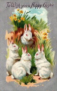 Happy Easter With Rabbits 1910 Tucks