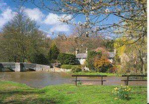 Derbyshire Postcard - Sheepwash Bridge in Spring - Ashford-In-The-Water - TZ5367