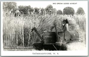 TATAMAGOUCHE CANADA EXAGGERATED WHEAT VINTAGE REAL PHOTO RPPC COMBINE HARVESTER