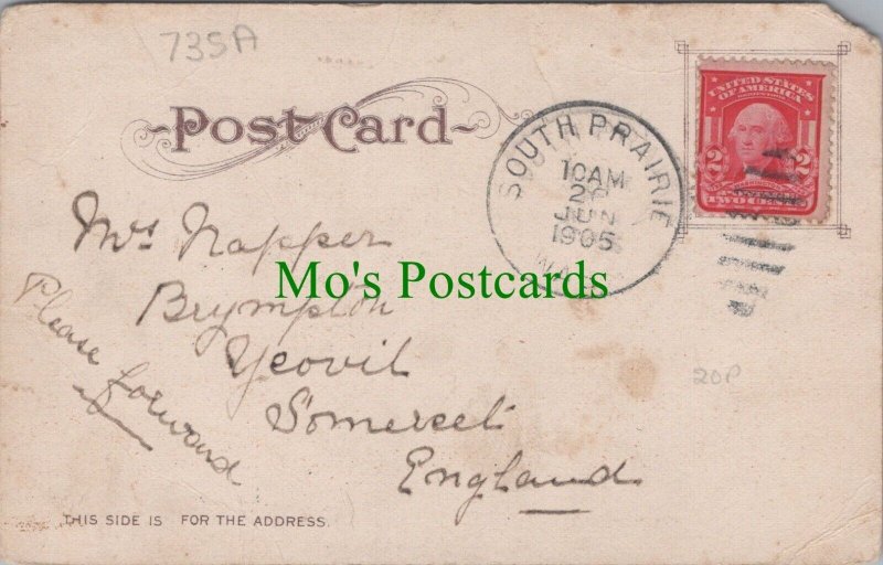 Genealogy Postcard - Family History - Napper - Yeovil - Somerset  735A