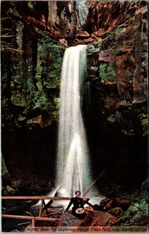 Hedge Creek Falls Near Shasta Springs CA Vintage Postcard S77