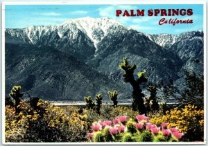 Postcard - Palm Springs - California