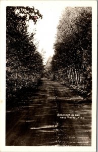 Real Photo Postcard Roadside Scene near Tofte, Minnesota~258