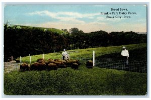 c1930's Brood Sows Frank's Cafe Dairy Farm Sioux City Iowa IA Antique Postcard