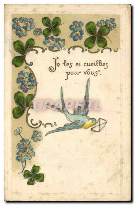 Old Postcard Fantasy Flowers Swallow