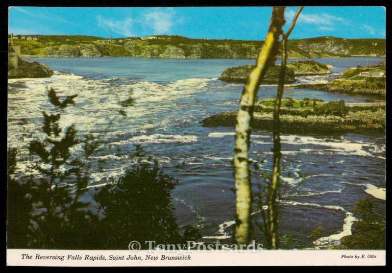 The Reversing Falls Rapids, Saint John, New Brunswick