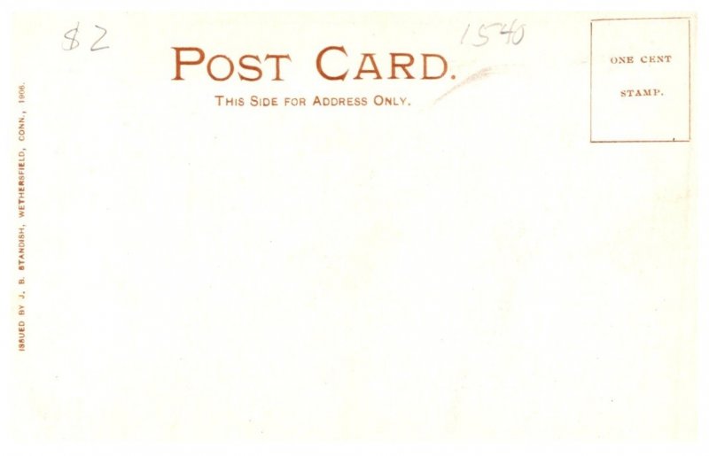 Connecticut Wethersfield , The largest Elm