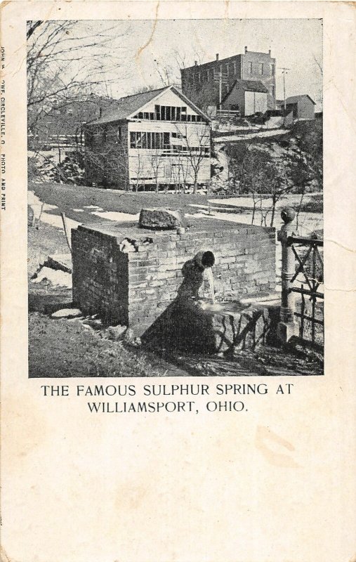 F56/ Williamsport Ohio Postcard 1908 Famous Sulpher Spring 