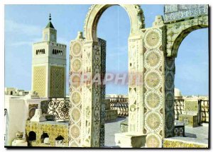 Modern Postcard Tunis Palace East View of the Medina