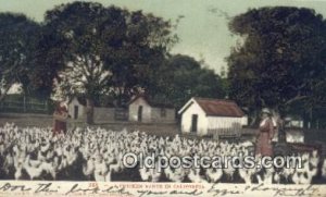 Chicken Ranch Farming Postal Used Unknown 